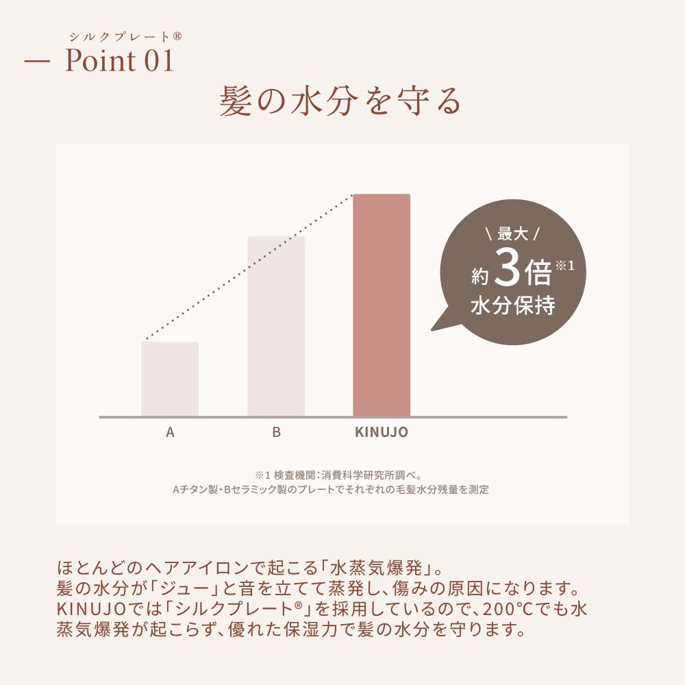 KINUJO Cordless Mini Iron LX001