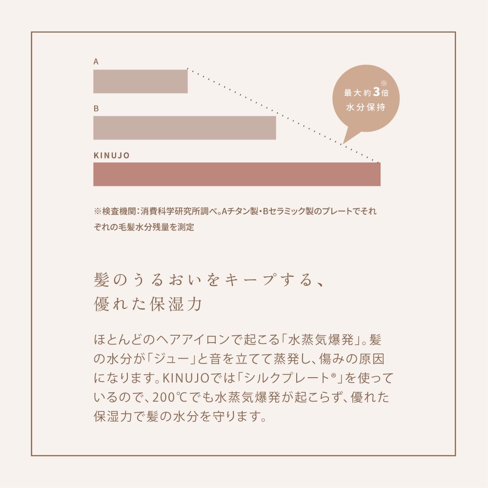 KINUJO Straight Hair Iron Black DS200