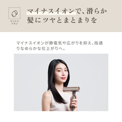 KINUJO International Hair Dryer Voyage Gold HW001