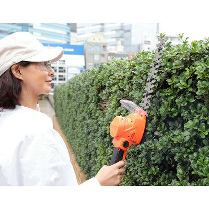 Hedge and Grass Trimmer DX 11-Piece Set + Battery [04204]