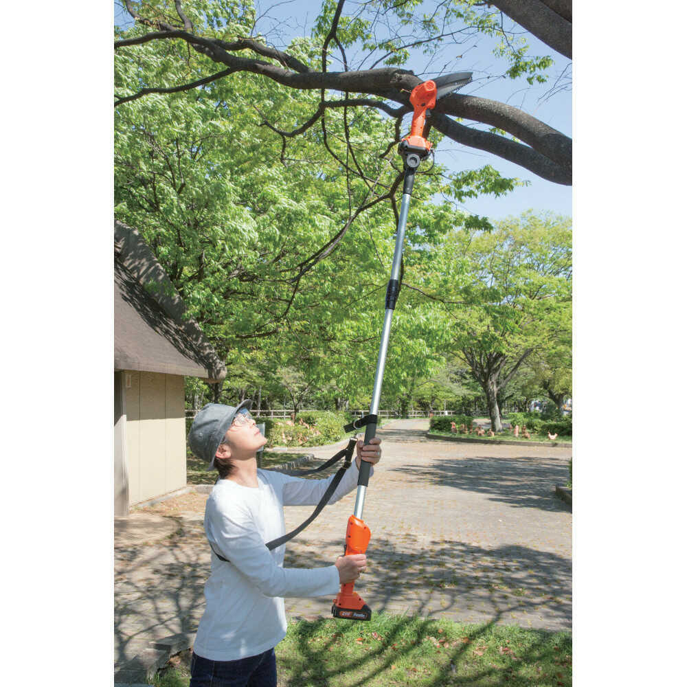 NEW Pole Chainsaw 8-Piece Set + Spare Battery [04287]