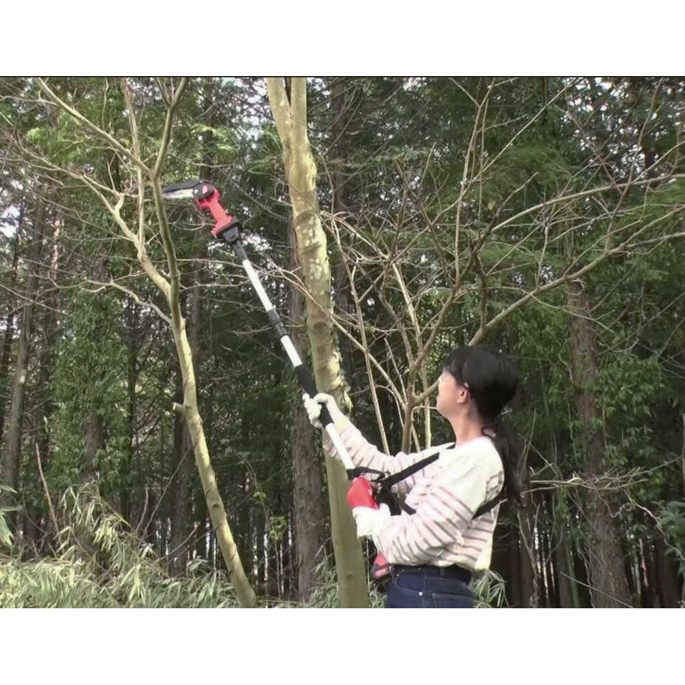 NEW Pole Chainsaw 8-Piece Set + Spare Battery [04287]