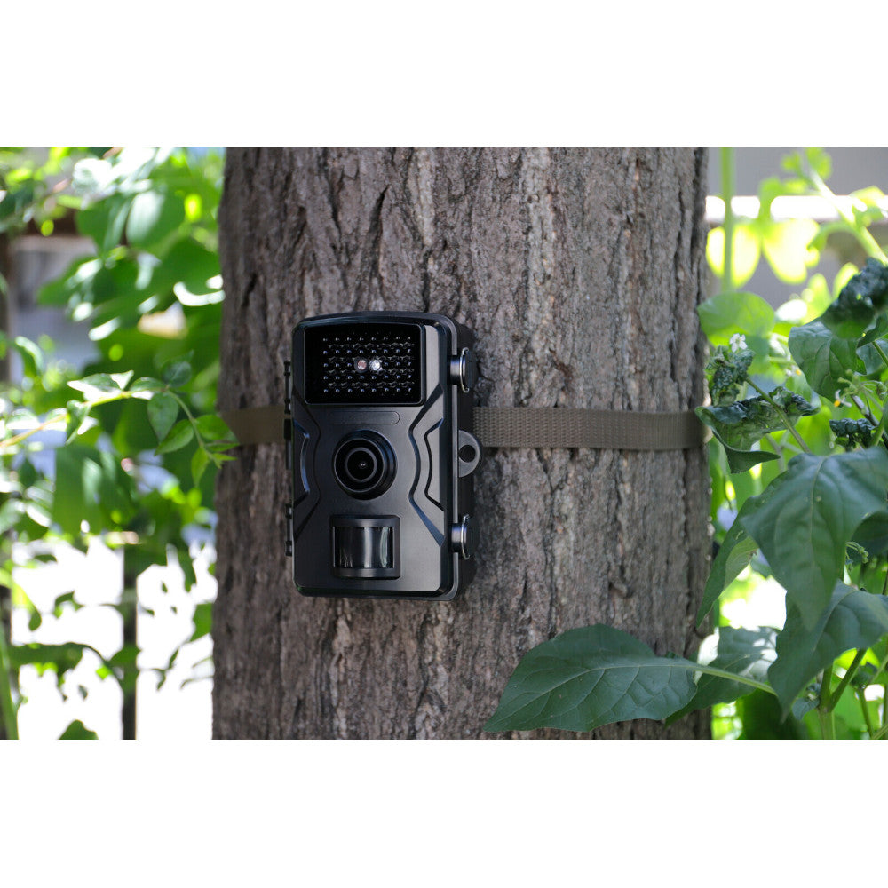 Infrared Motion Detection Camera with 32GB Micro SD Card