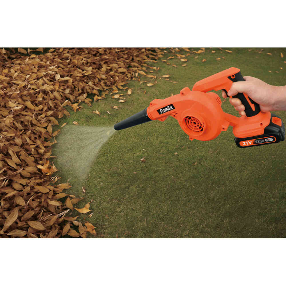 Cordless Rechargeable 2-Way Blower with Extra Battery [04493]