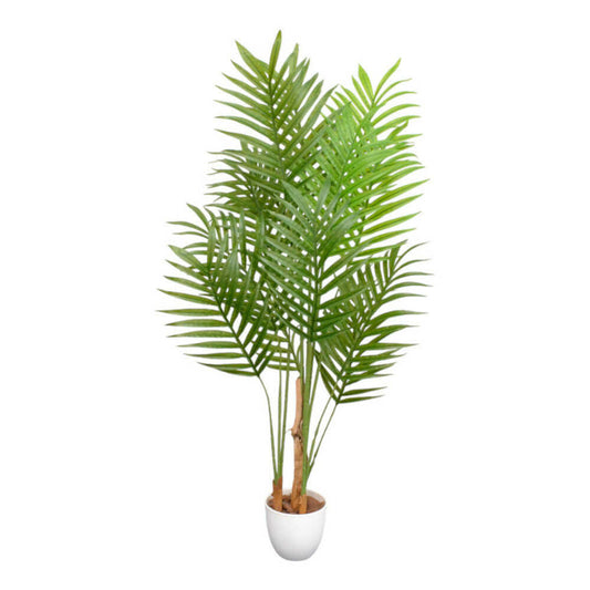 Photocatalytic Interior Green - Areca Palm