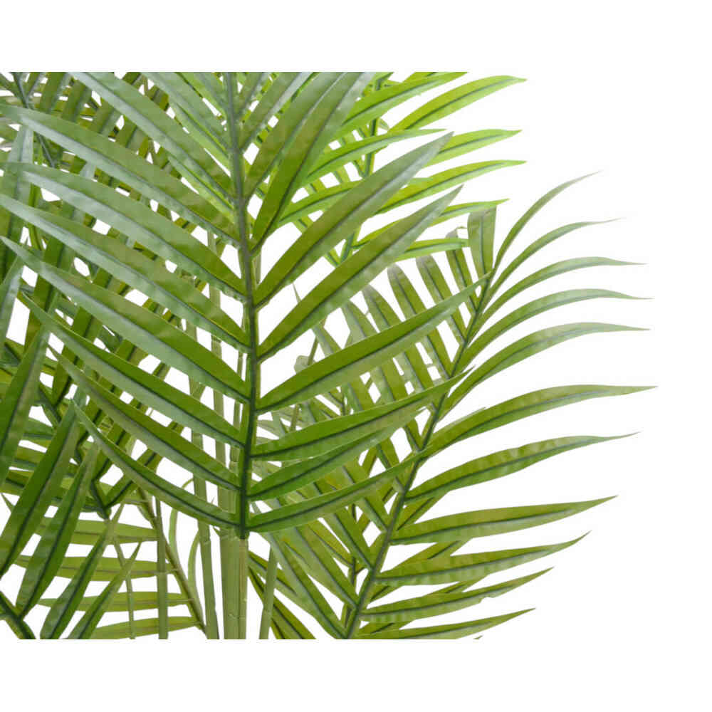 Photocatalytic Interior Green - Areca Palm