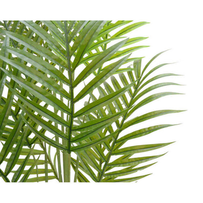 Photocatalytic Interior Green - Areca Palm