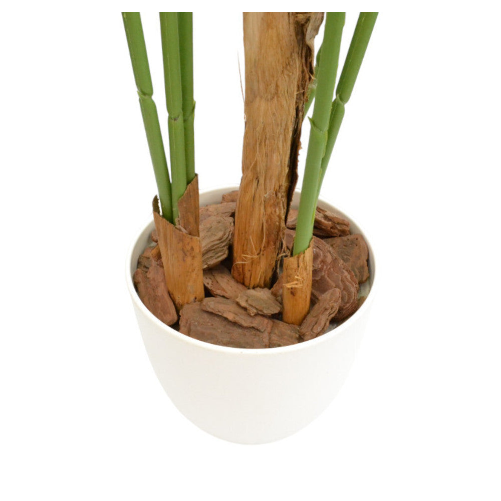 Photocatalytic Interior Green - Areca Palm