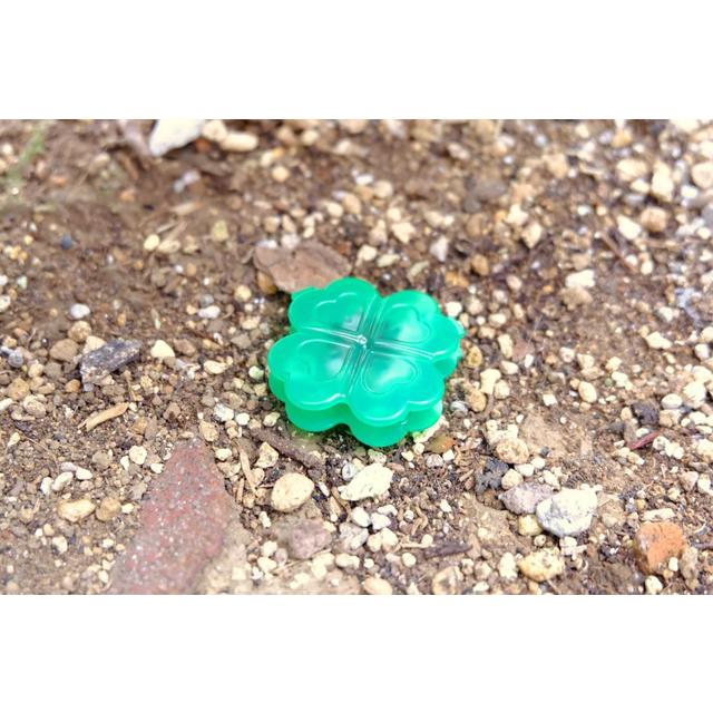 Earth Garden Hyper Ant Nest Killer 1.0g x 12 Packs