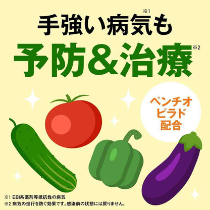 Earth Garden Vegetable Umashi 1000ml