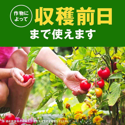 Earth Garden Vegetable Umashi 1000ml