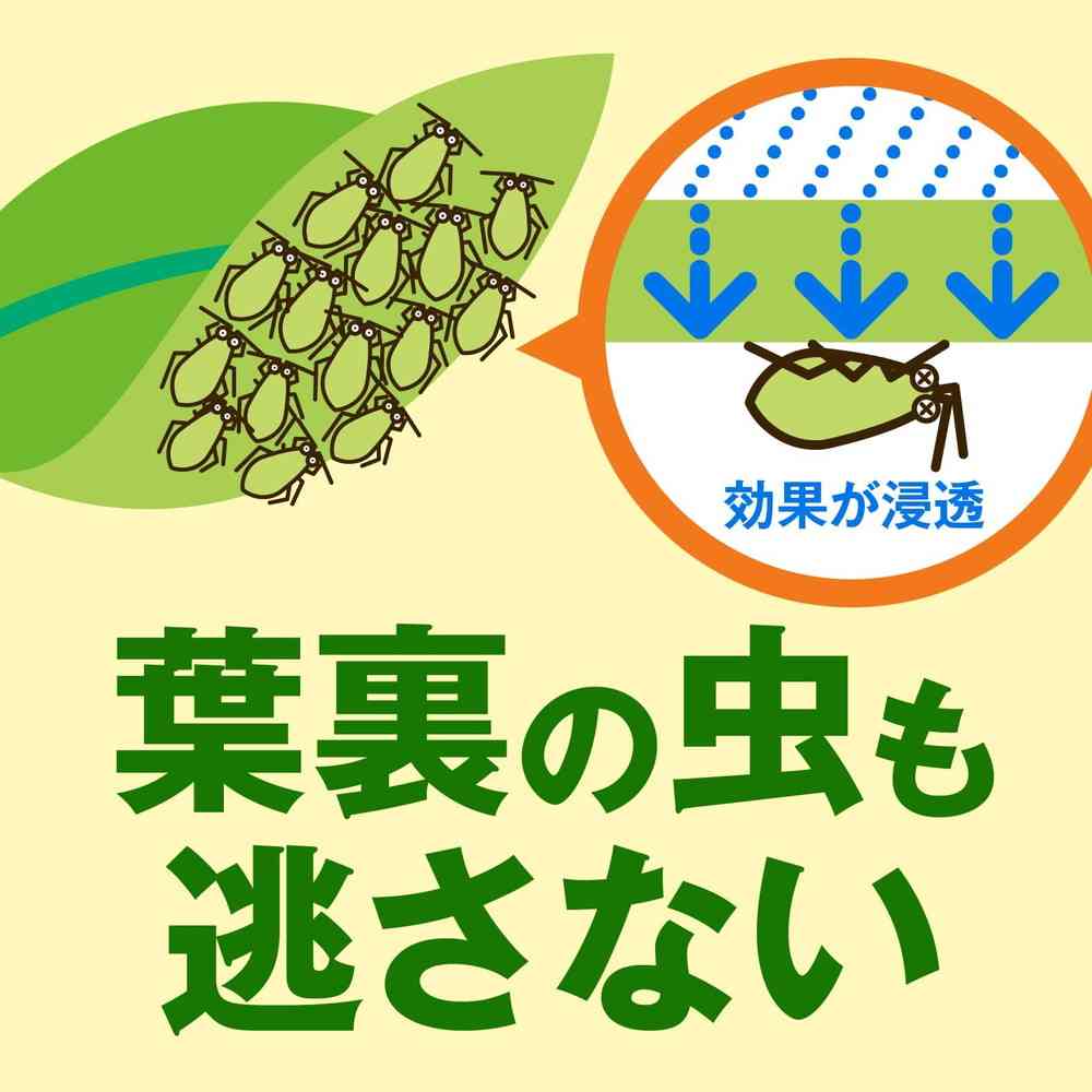 Earth Garden Vegetable Umashi 1000ml