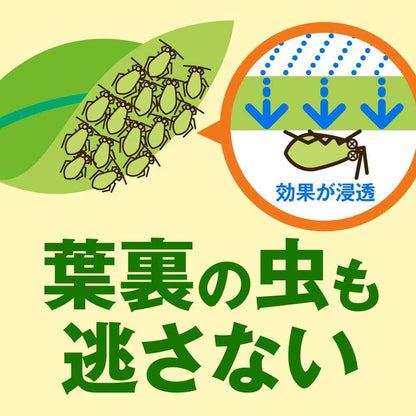 Earth Garden Vegetable Umashi 1000ml