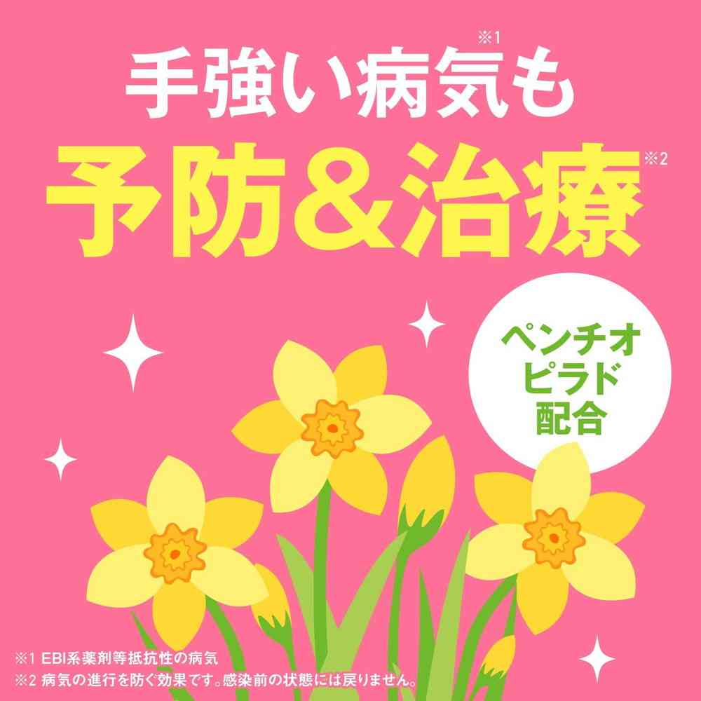 Earth Garden Flower Care 1000ml