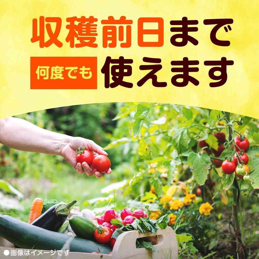 Earth Garden Rohapi Eco Pack 850ml