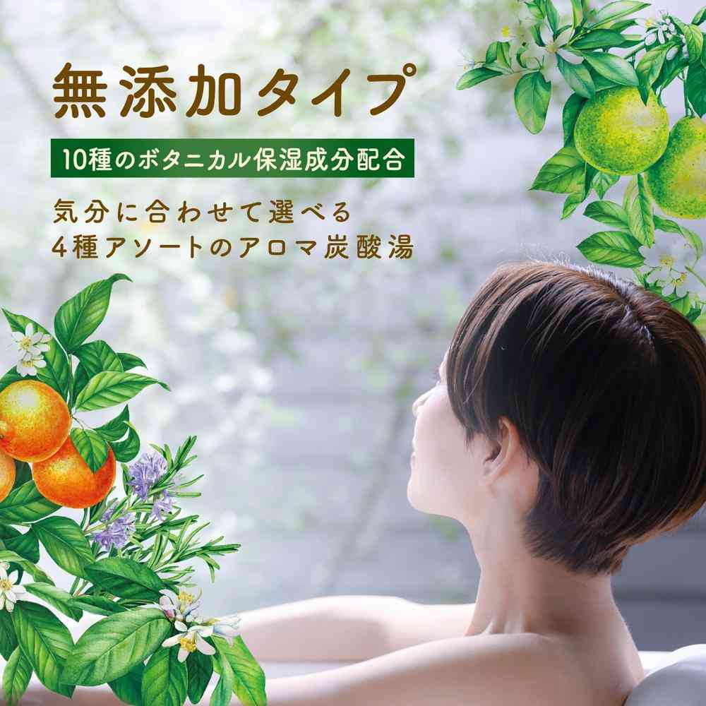 Earth Chemical Onpou Botanical Time Bath Tablets 12 Tablets (4 Types x 3 Tablets)