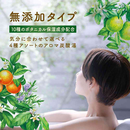 Earth Chemical Onpou Botanical Time Bath Tablets 12 Tablets (4 Types x 3 Tablets)