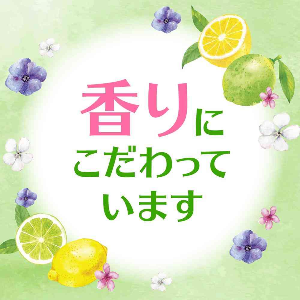 Earth Chemical Sukkiri Air! Toilet Spray Fresh Citrus 350ml