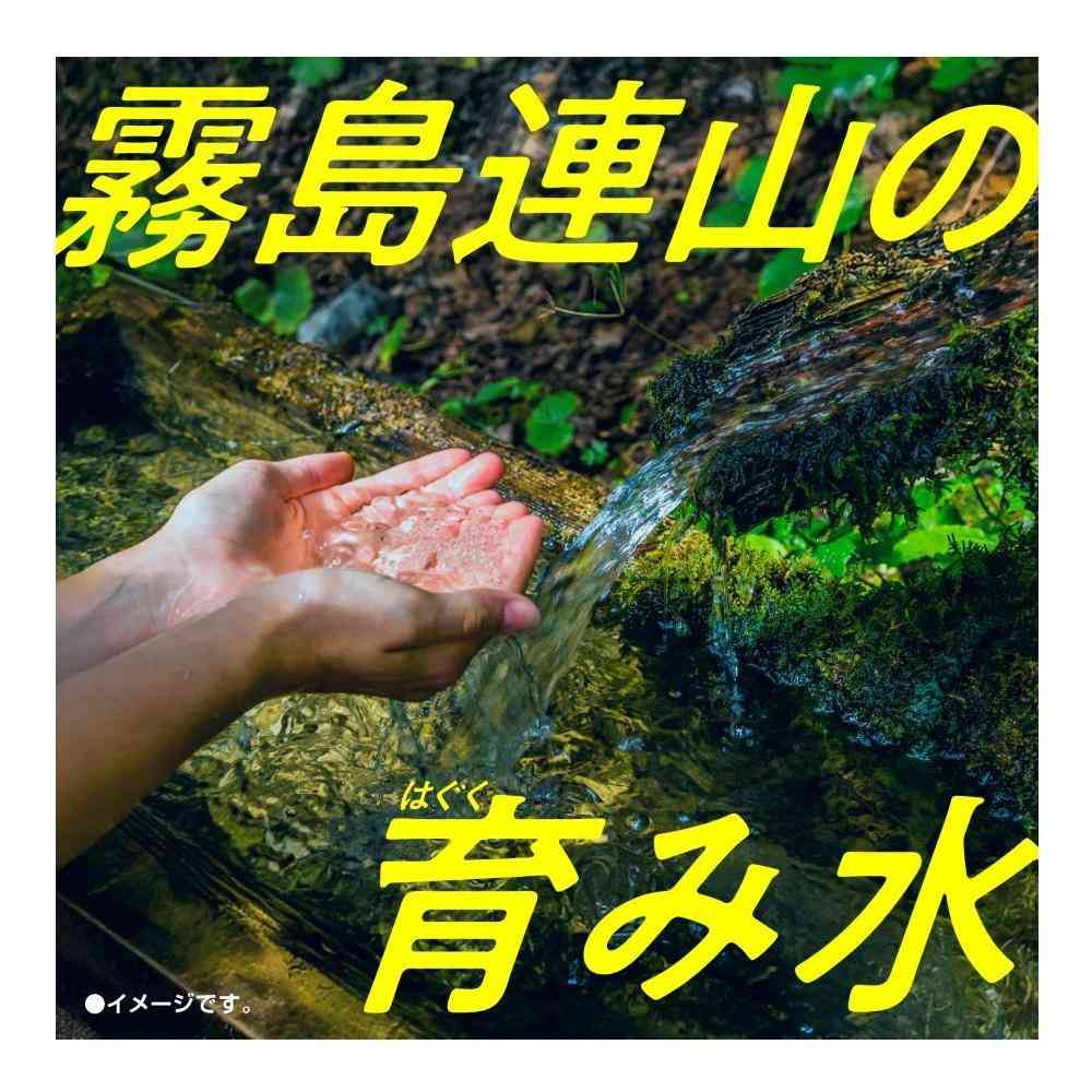 Earth Chemical Nano Colloid Silica Water 123 300ml