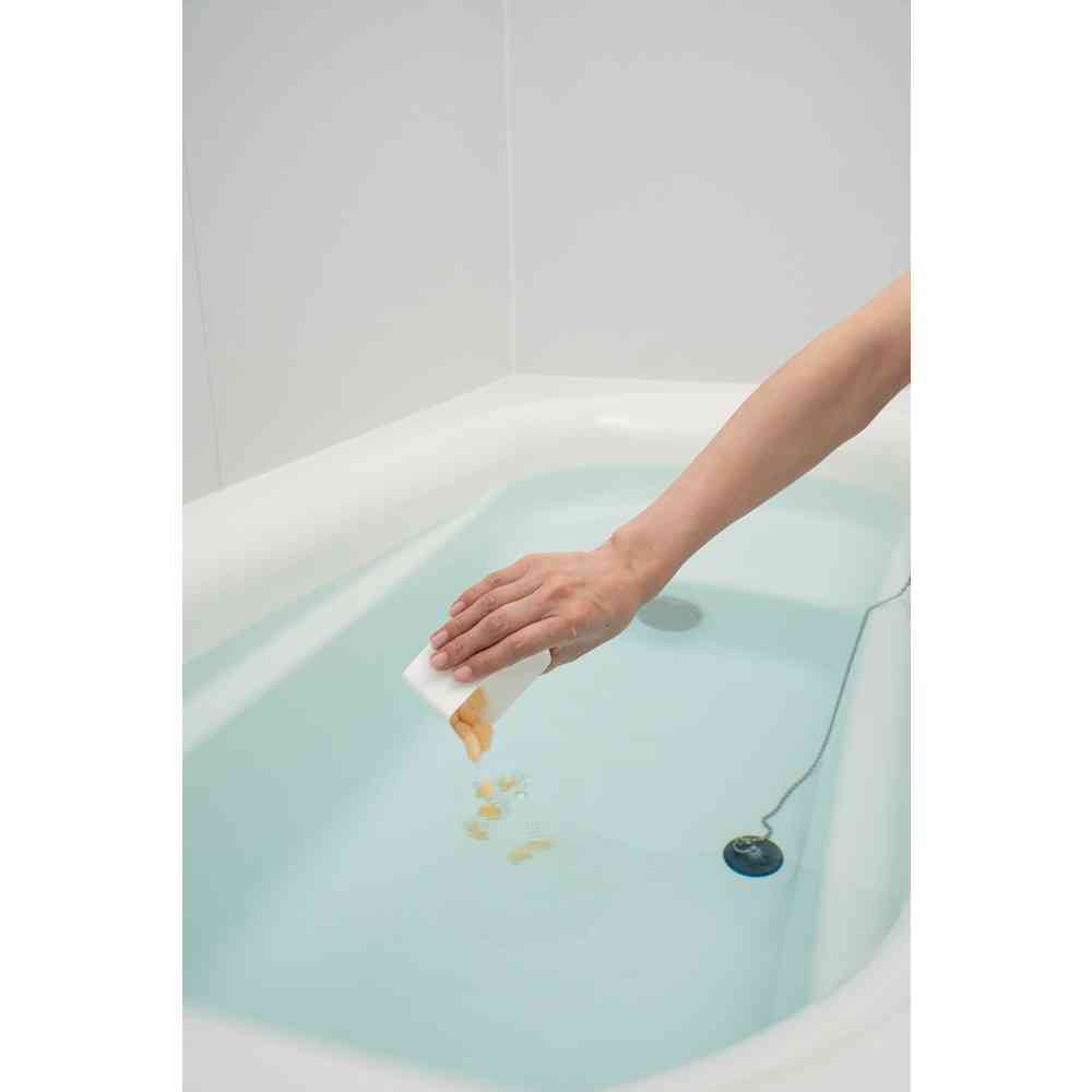 Earth Chemical OFFROM Spa Supplement VN Shine Lemon Scent 400g