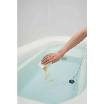 Earth Chemical OFFROM Spa Supplement VN Shine Lemon Scent 400g