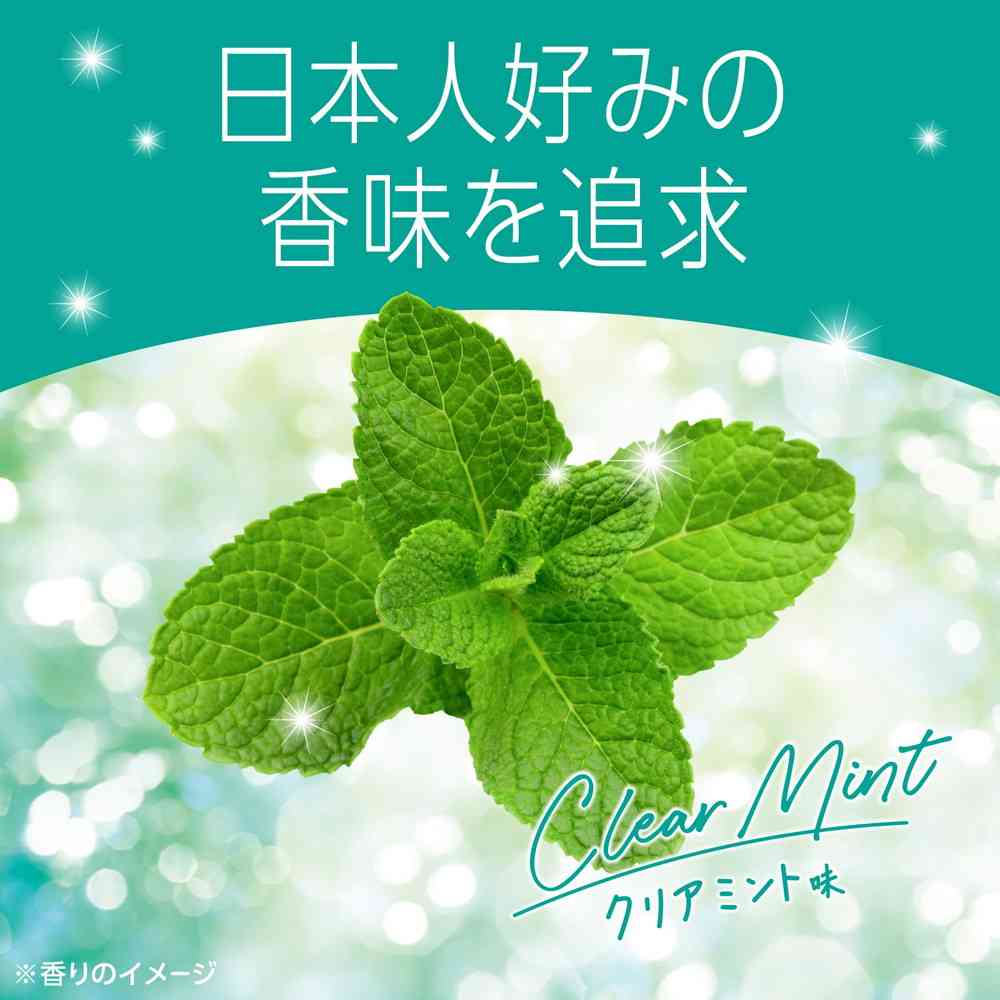 Earth Chemical Mondamin Clear Mint 1000mL x 2 Bottles