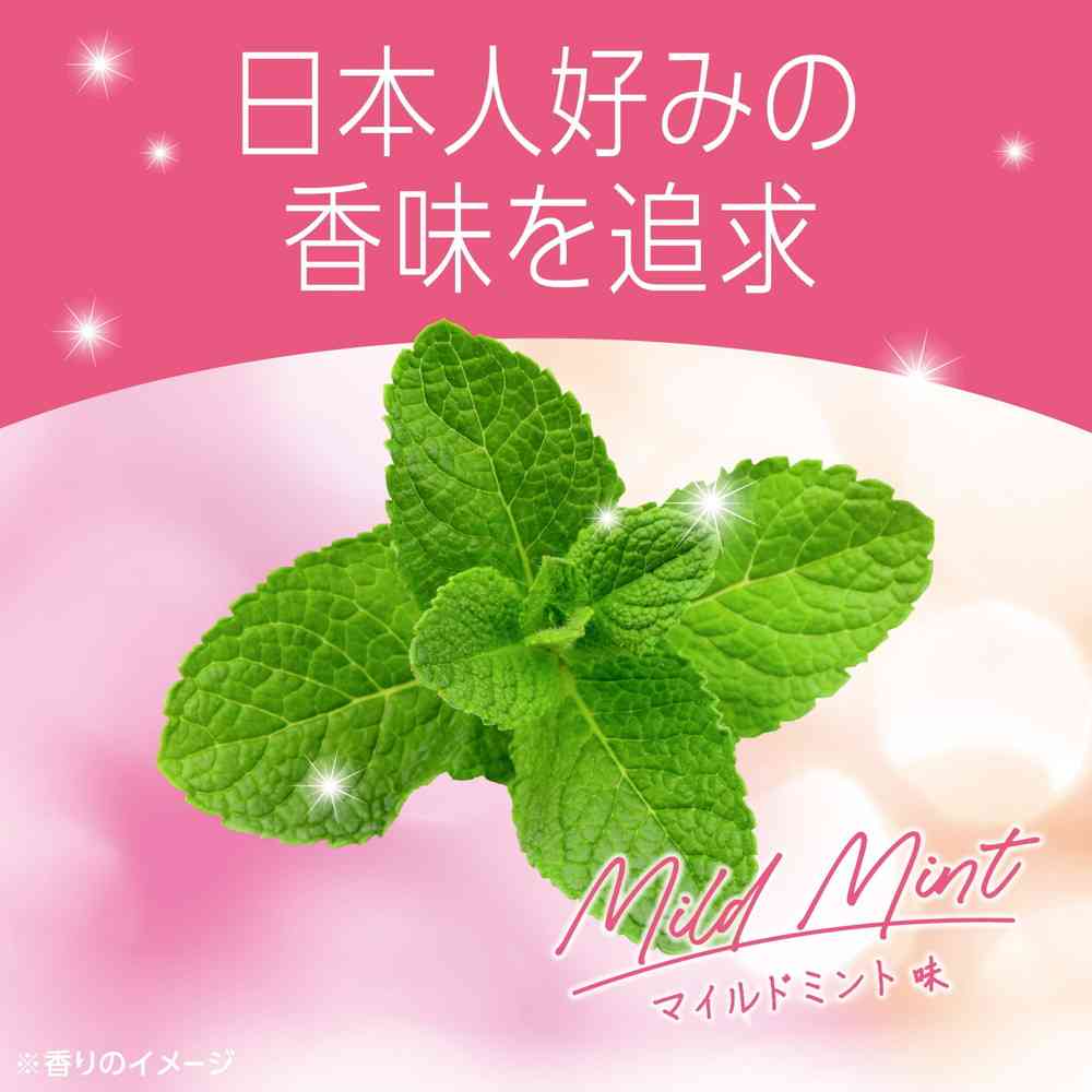 Earth Pharmaceutical Mondamin Mild Mint 1000mL x 2 Bottles