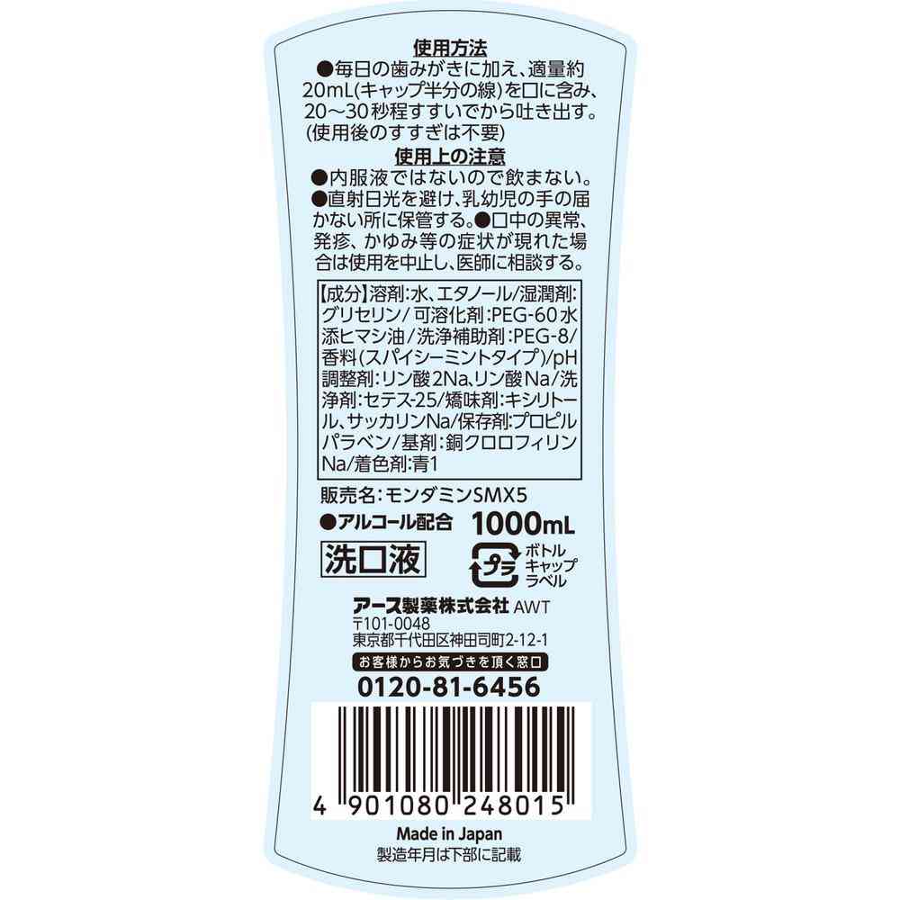 Earth Chemical Mondamin Spicy Mint 1000ml