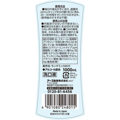 Earth Chemical Mondamin Spicy Mint 1000ml