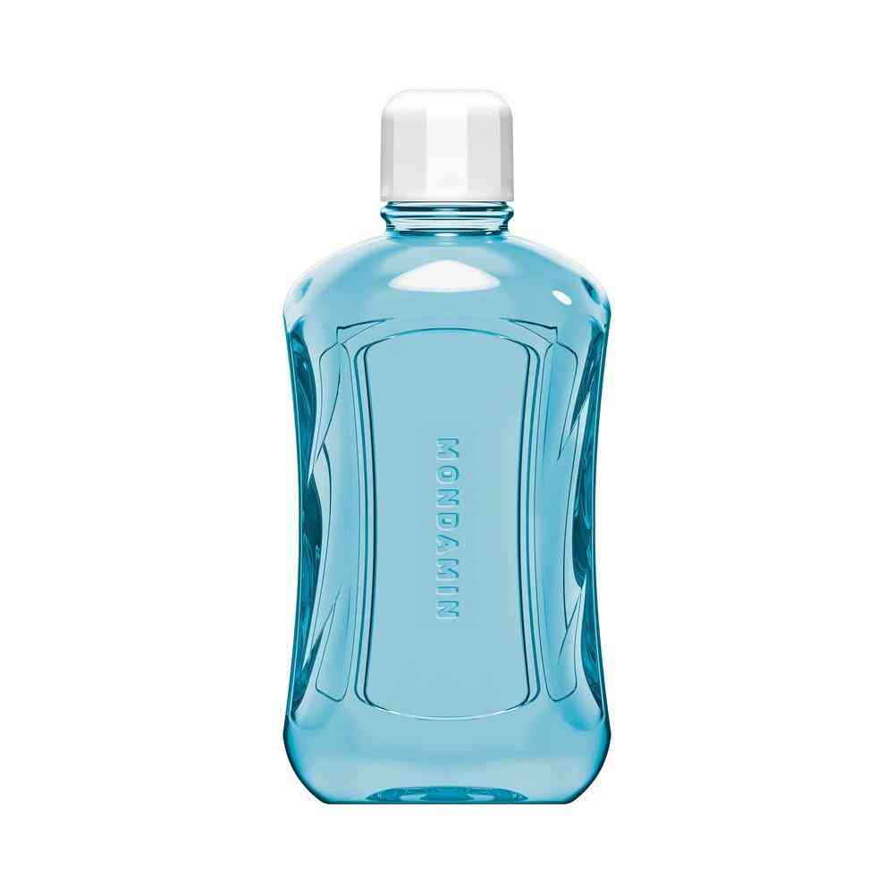 Earth Chemical Mondamin Spicy Mint 1000ml