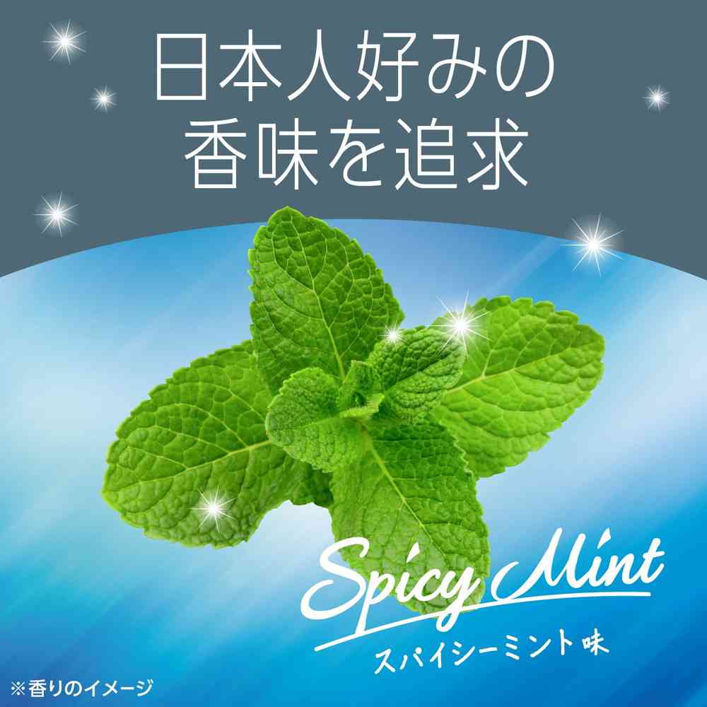 Earth Pharmaceutical Mondamin Spicy Mint 1000mL x 2 Bottles