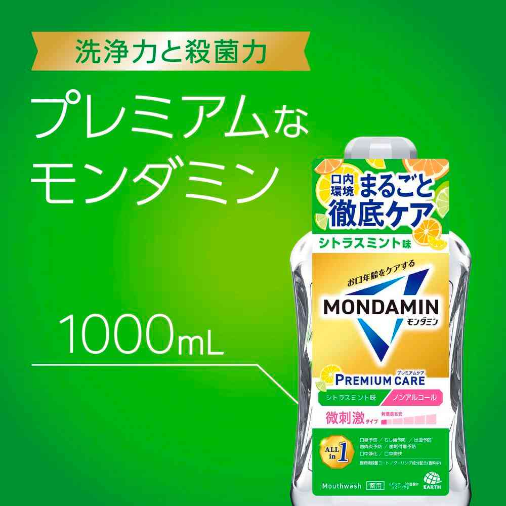 Earth Chemical Mondamin Premium Care Citrus Mint 1000ml