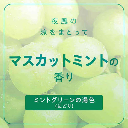 Earth Chemical OFFROM Slowly Tablet Muscat Mint Scent 100g x 4 Tablets