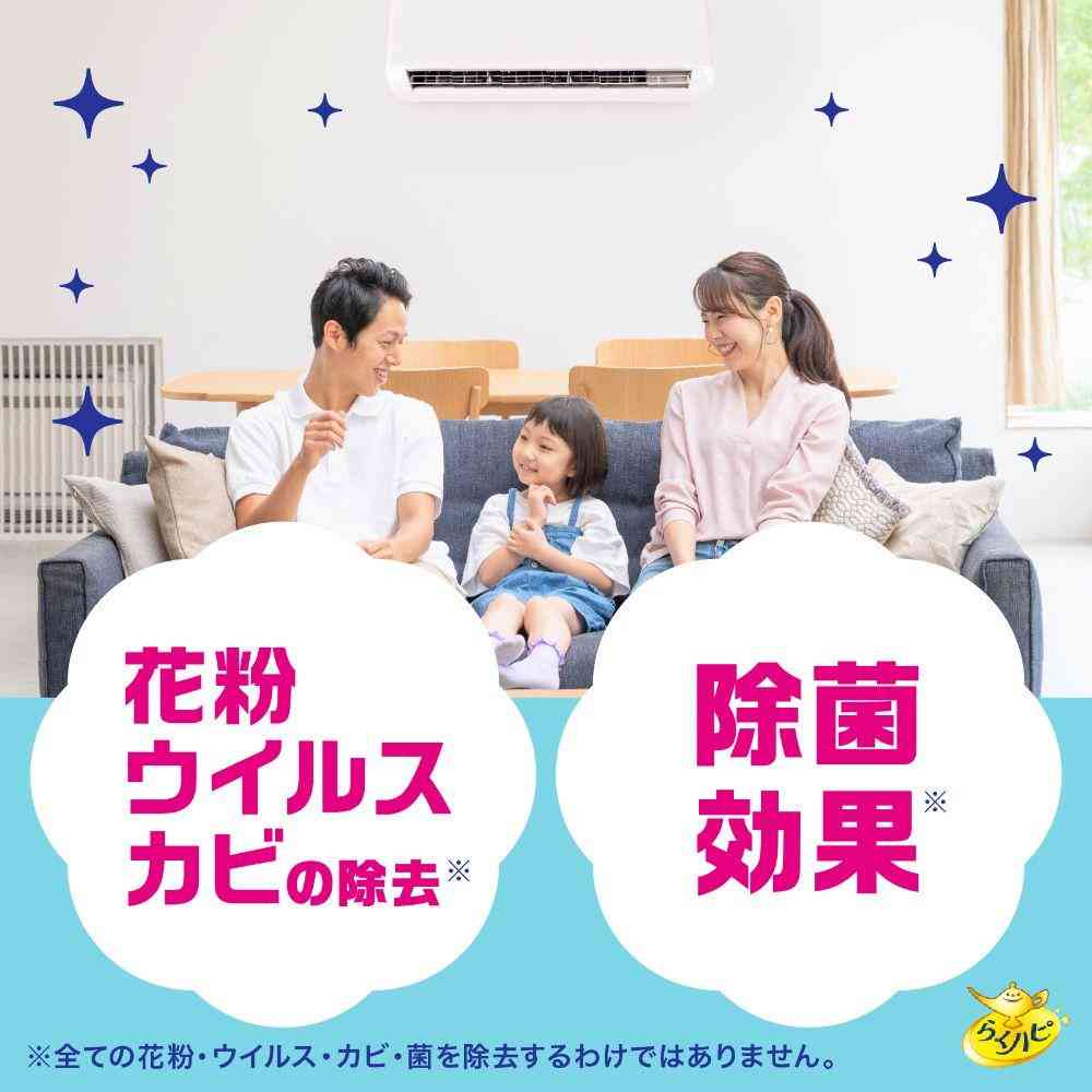 Earth Chemical Raku Hapi Bubble Clean Air Conditioner Filter 300mL