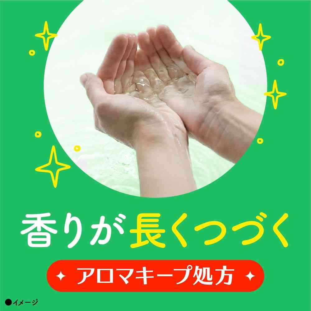 Earth Chemical Onpo Carbonated Bath Tablets 20 Tablets