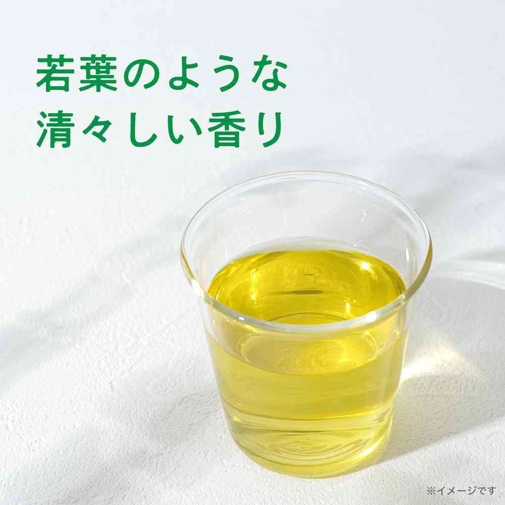 Ito En Oi Ocha Pure Green 600ml