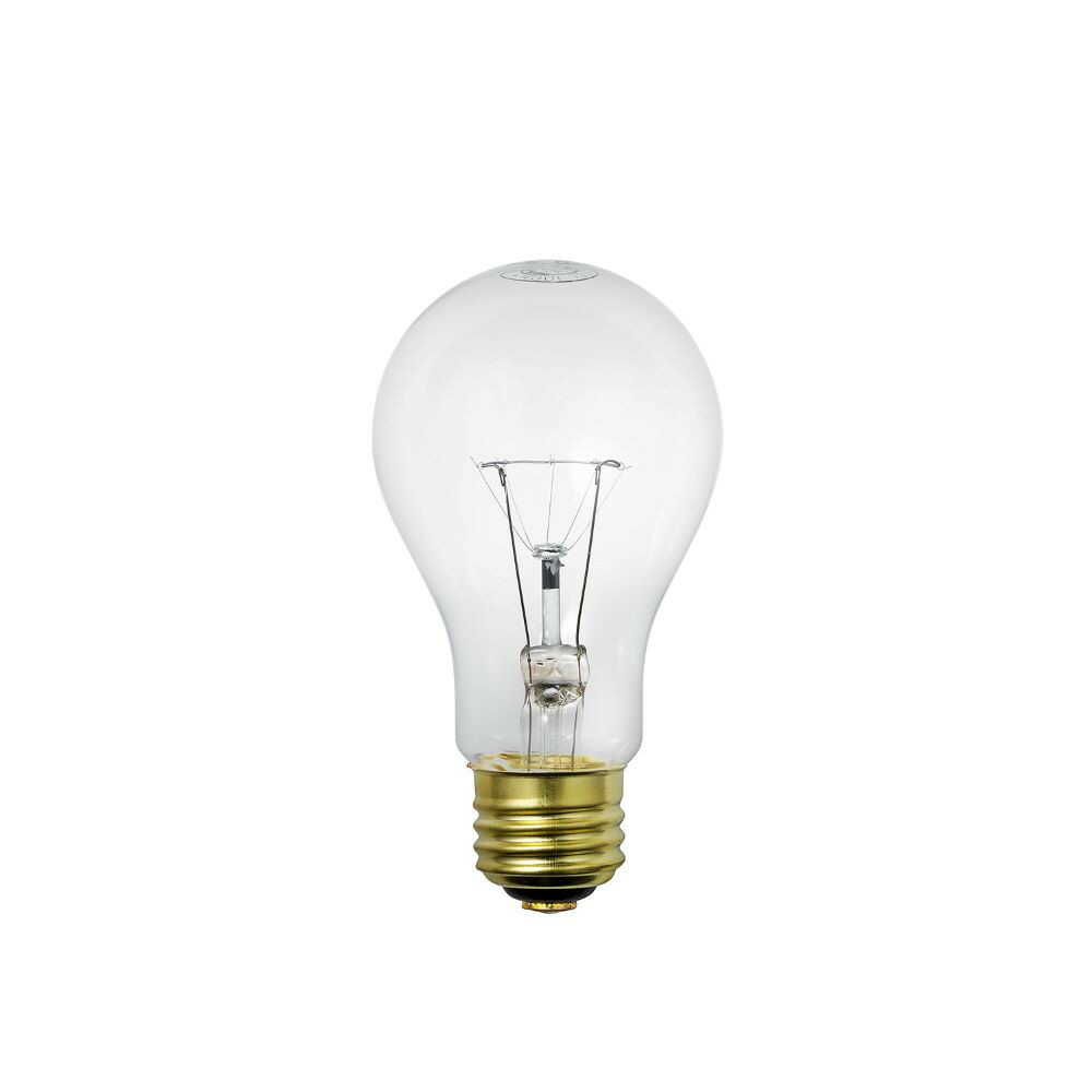 ELPA Earthquake Resistant Bulb Incandescent Bulb Shock Resistant 100W EVP110V100WA60C