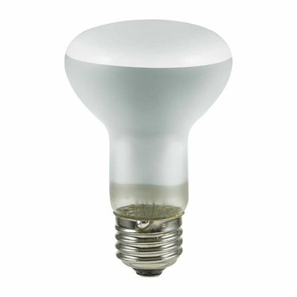 Asahi Electric ELPA Long-life Reflector Lamp ERF110V40W-L