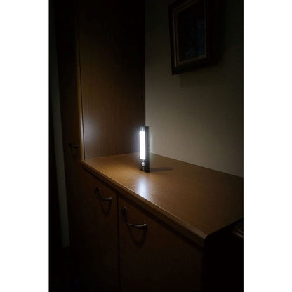 ELPA Hospitality Light LED Motion Sensor Light Compact HLH-2203