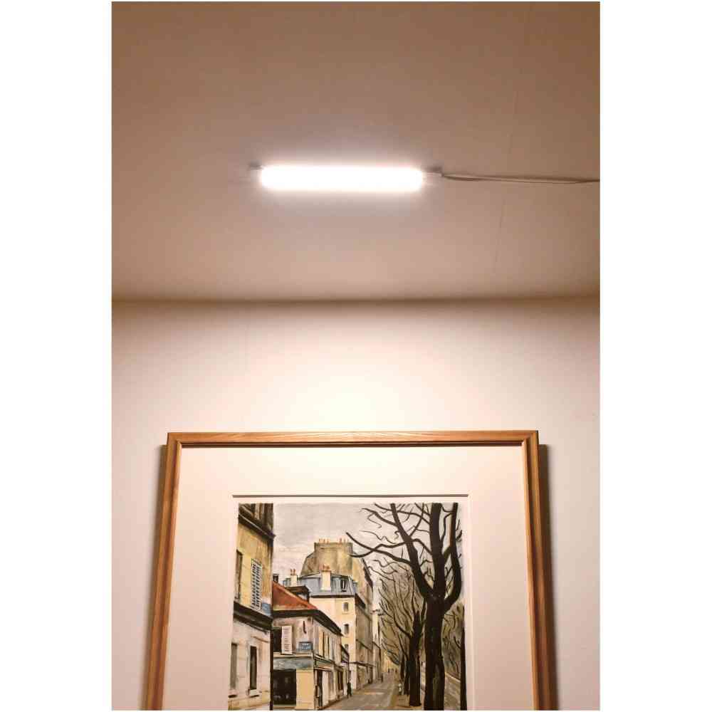 ELPA LED Multi-Purpose Light with Remote ALT-2030RE (L)