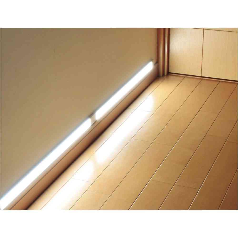 ELPA Multi-Purpose LED Light Sub Unit ALT-2030 (L)
