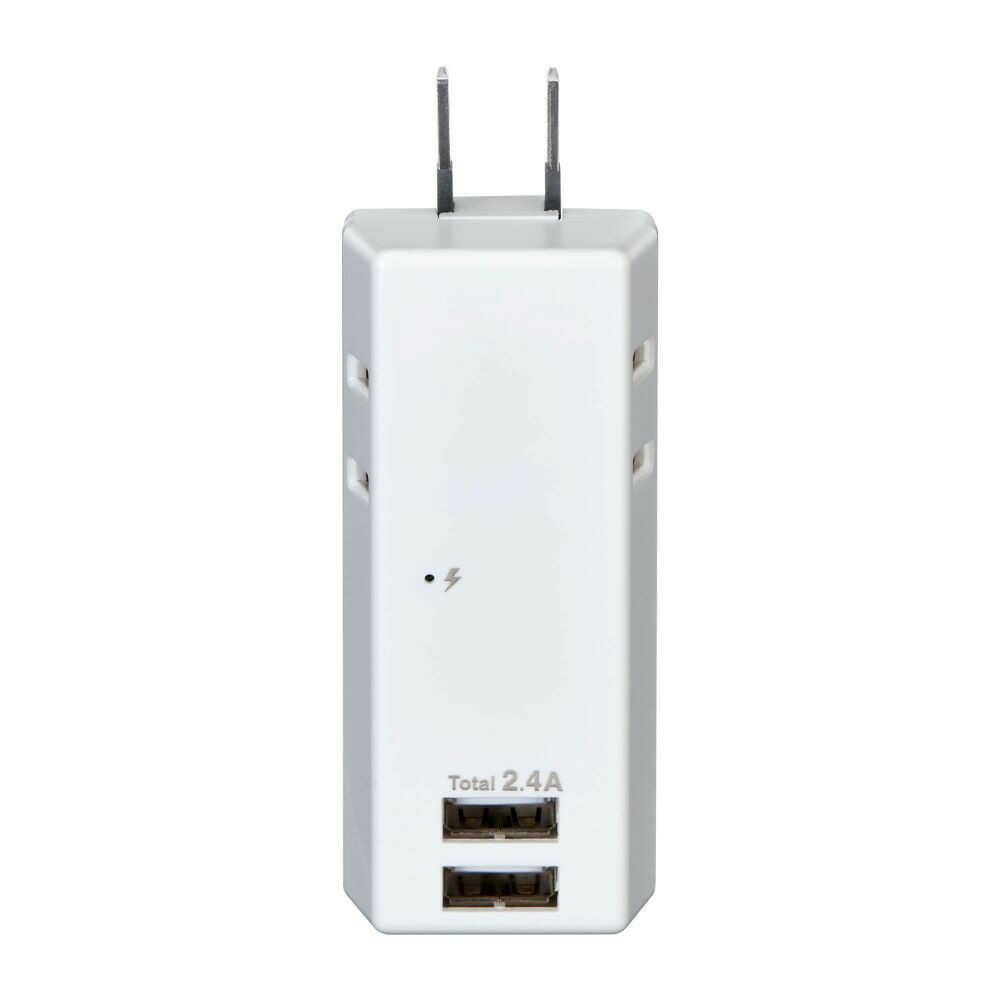 Elpa ELPA Lightning-Proof USB Tap 2 Outlets 2 Ports 2.4A Surge Guard UA-222SB