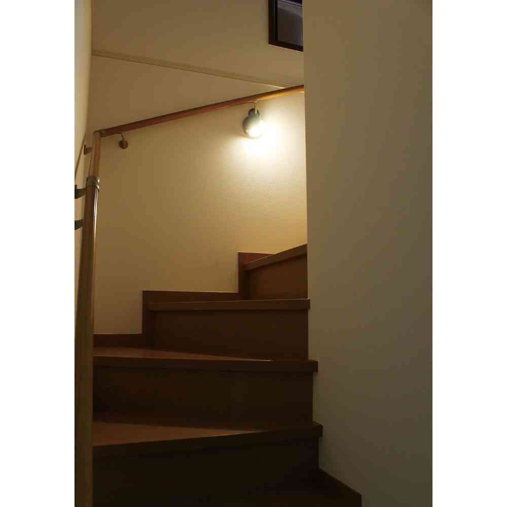 ELPA LED Motion Sensor Hanging Light HLH-2205