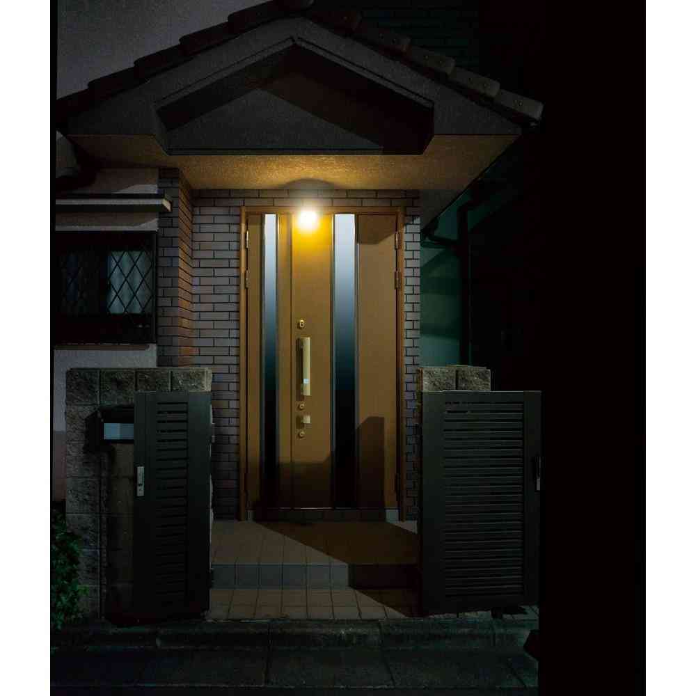 ELPA LED Motion Sensor Light for Door HLH-2206