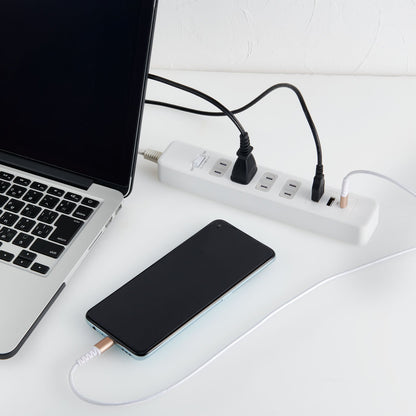 Asahi Electric ELPA Corded USB Tap PD20W 2m 4 Ports