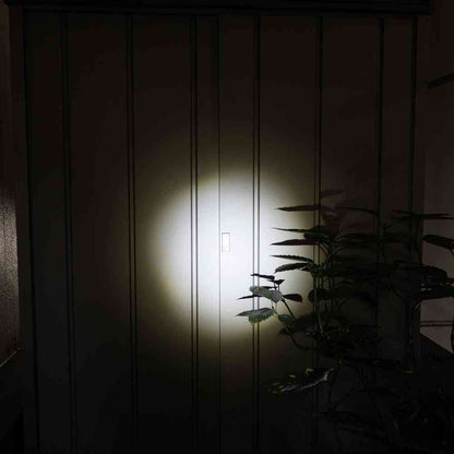 ELPA LED Aluminum Hand Light 250 Lumens DOP-EP520