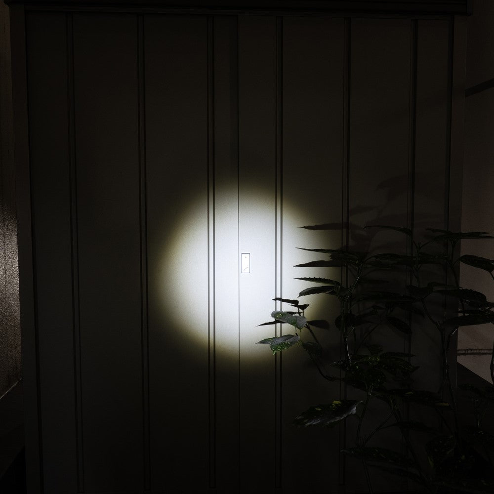 ELPA LED Aluminum Hand Light 650 Lumens DOP-EP560