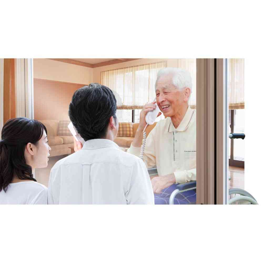 ELPA Easy Talk Intercom Connection Type CDS-600-2P