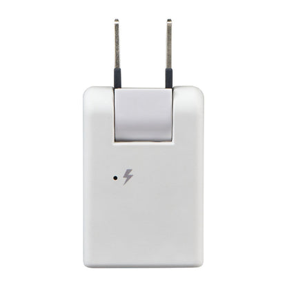 Elpa ELPA Lightning Protection Swing Adapter 125V5A A-380SB (W)