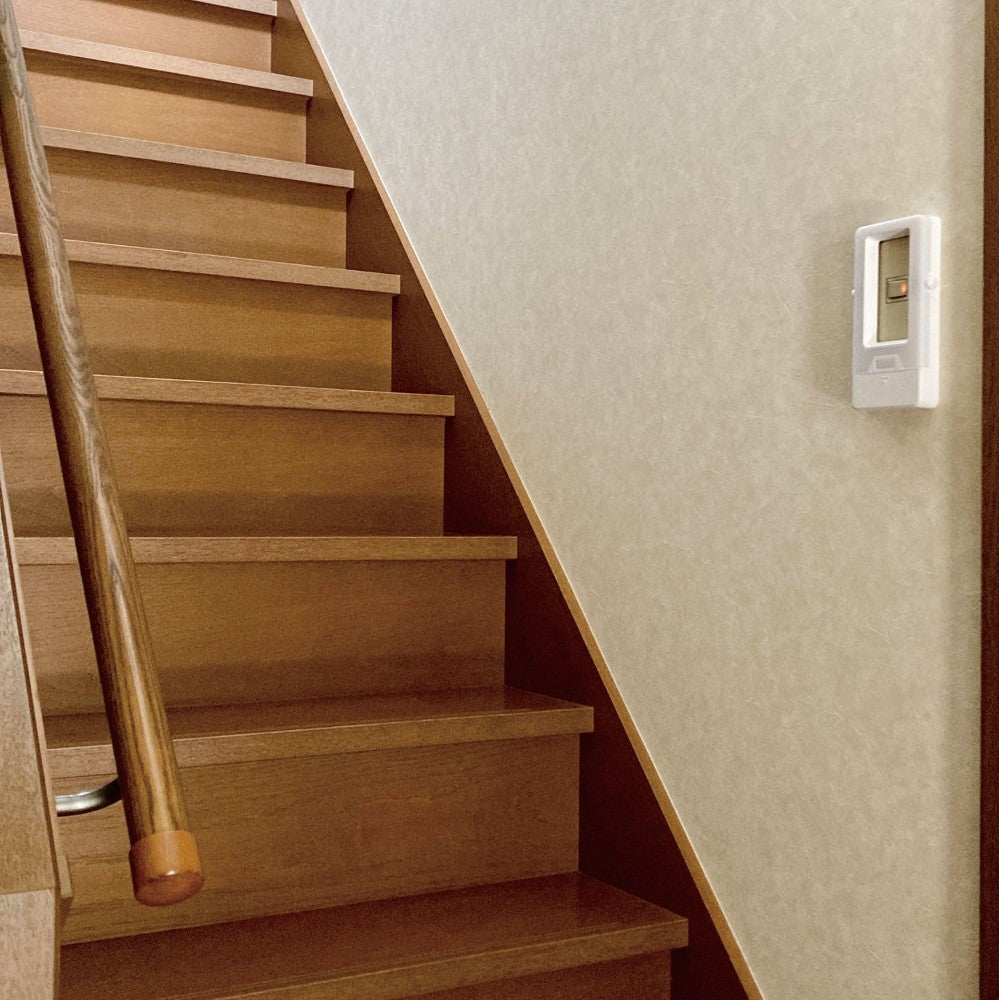 ELPA LED Sensor Light Plate Mount PM-LF008PIR (W)